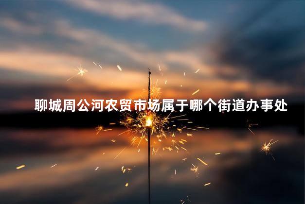 聊城周公河农贸市场属于哪个街道办事处 聊城周公河农贸市场属于哪个区